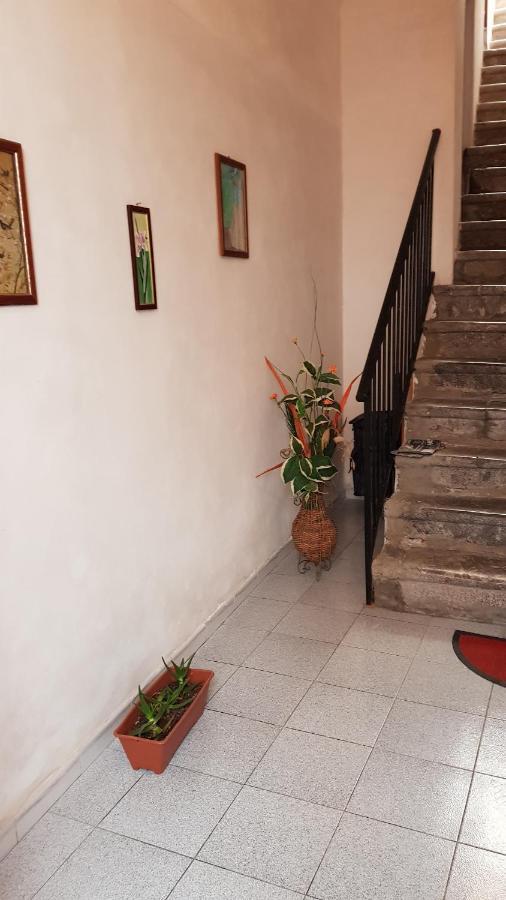 切法卢La Casa Di Mimi'公寓 外观 照片
